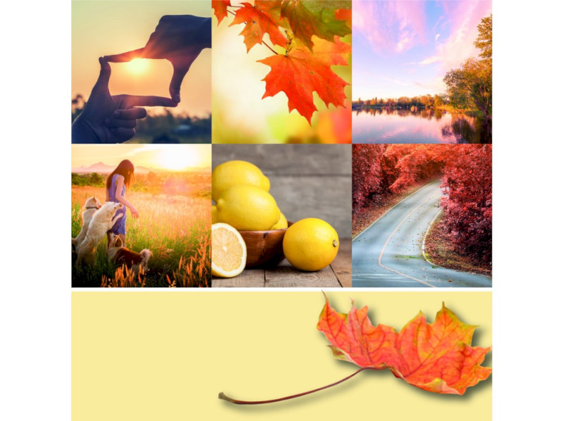 40777_AUTUMN SUNSET-1 - KOPIE (2)